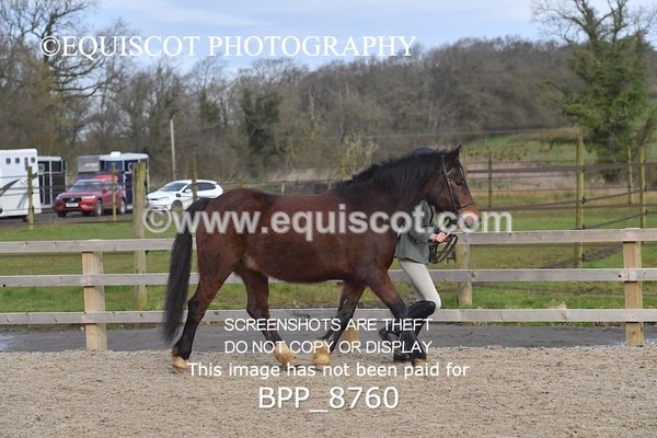 BPP_8760 - RING 2 - M&M