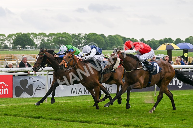 140524-Race 7-Spartan Warrior-3185 - Race 7