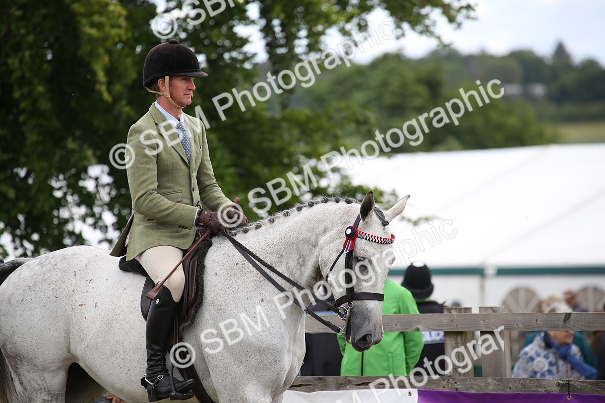 SBM_14132 - Class 113-114 - Retraining of Racehorses Ridden