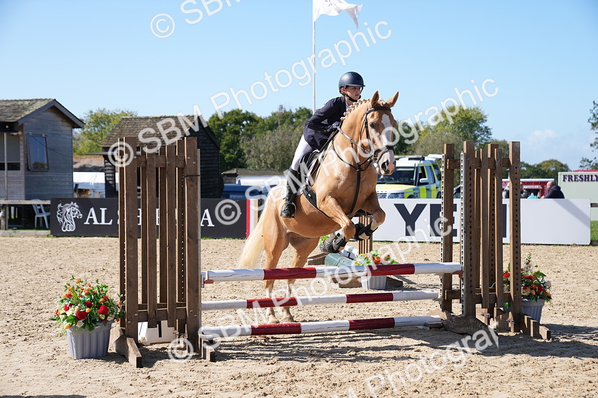 SBM_04850 - J56 - Clear Round 70cm