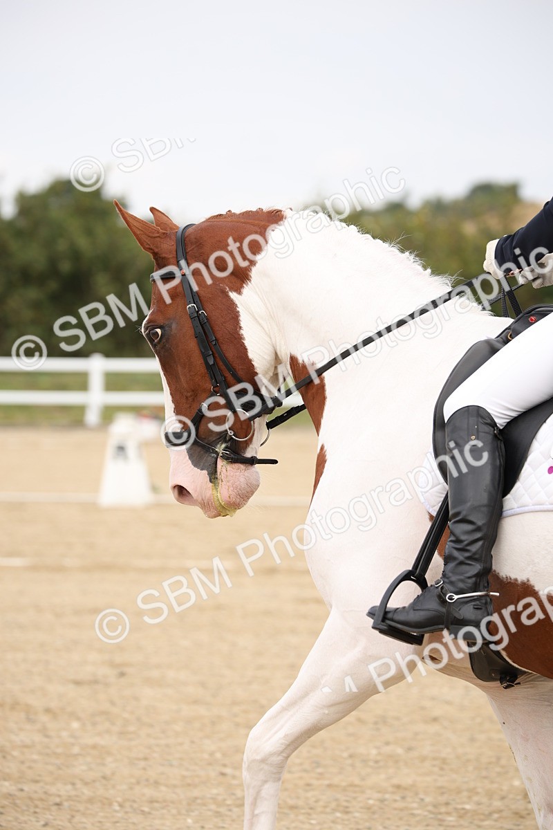 SBM_020031 - Class 25 - PSG Bronze