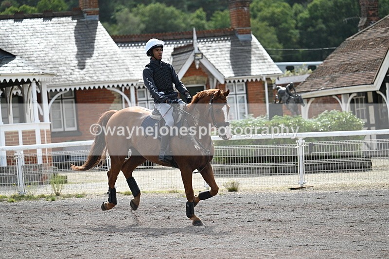 WJ7_1439 - Time 12:34 to 13:16