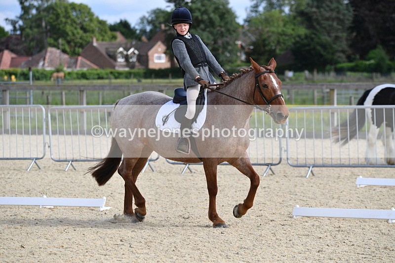 WJ5_7514 - Time 16:25 to 16:37