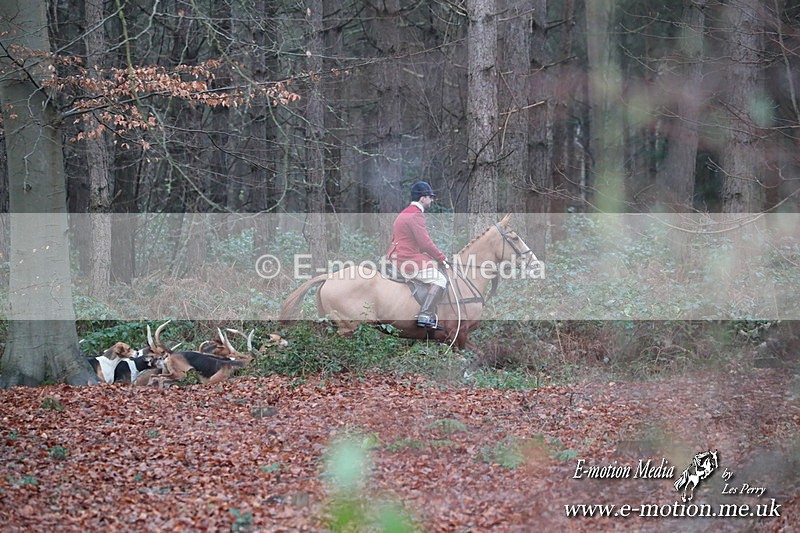 HUPY 261224 75 - Pytchley with Woodland Hunt Boxing Day Meet 26th December 2024