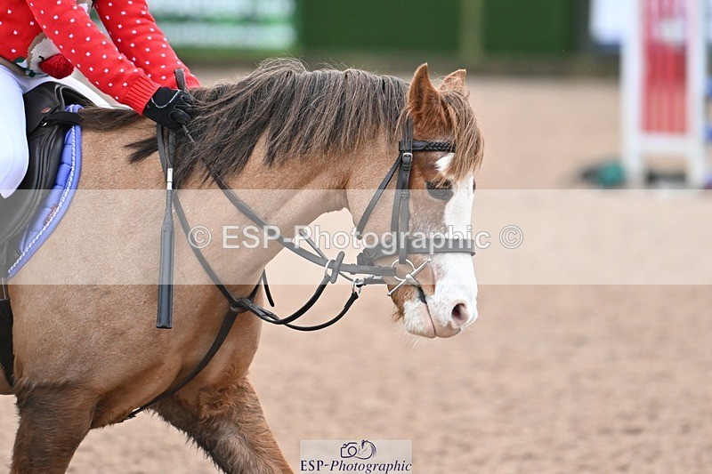 241201X-102257-00411 - Cls 15 A&B Cls 16 60cm