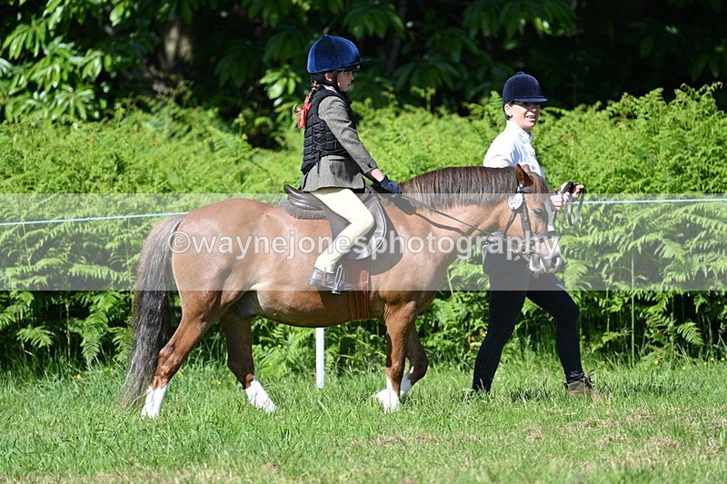 WJ7_0762 - Class 8 First Rally Pony