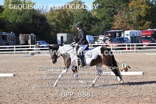 BPP_8881 - LONG ARENA NOVICE 6