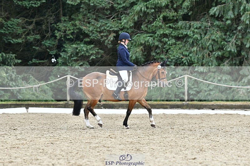 260801A-125903-04109 - Prelim Bronze Break - End