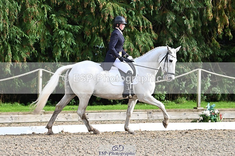 231019-144506-04595 - 126-DERRYS.LADY.LOU-Debbie.Townsend-DR