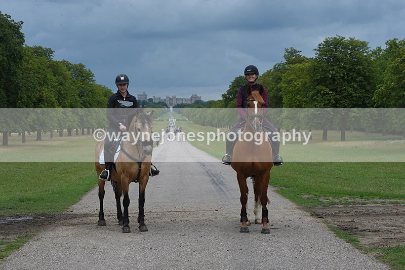 TT3_9317 - Time at Crossing 09:22 to 11:26