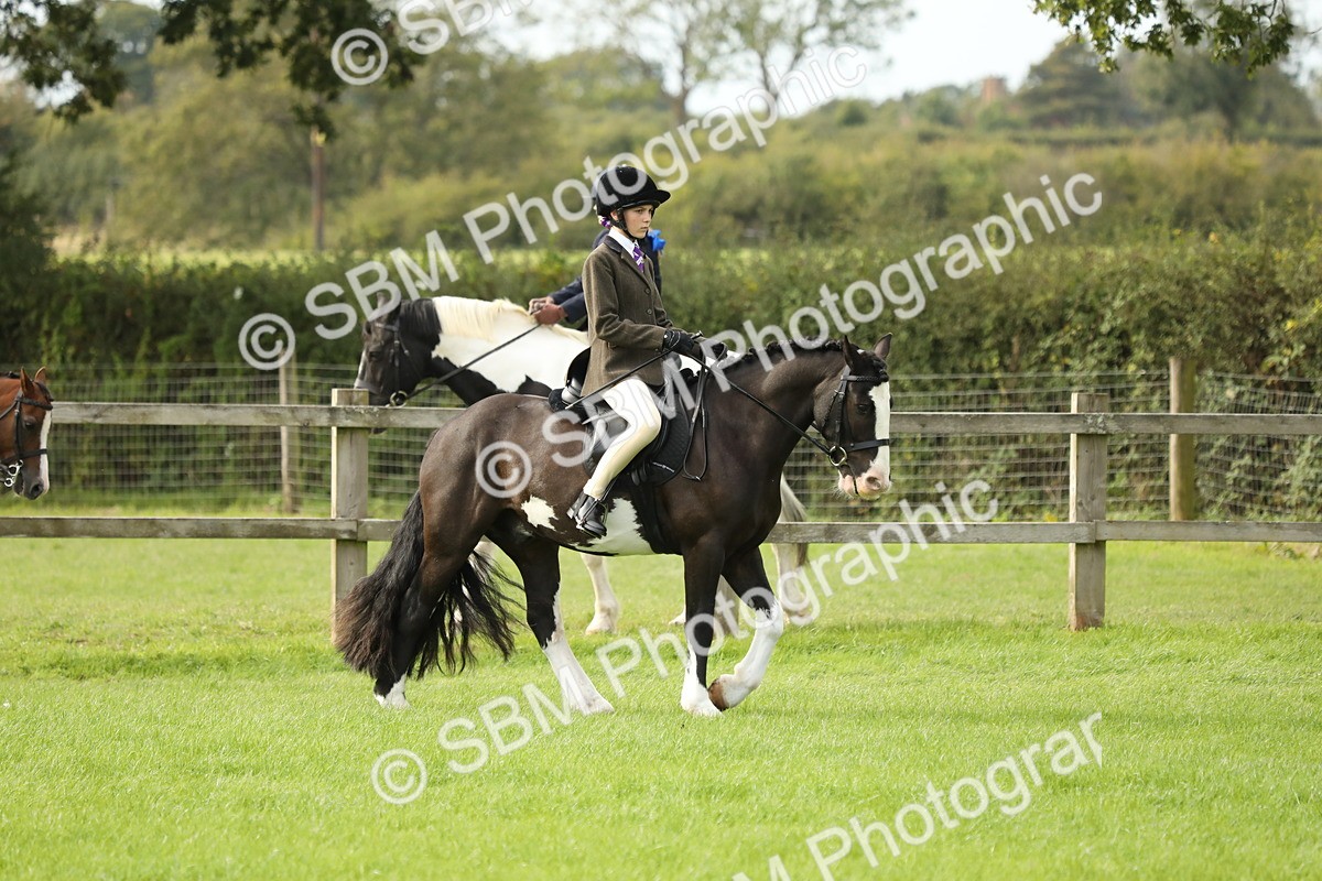 SBM_71469 - S41 - Ridden Equitation (Best Rider)