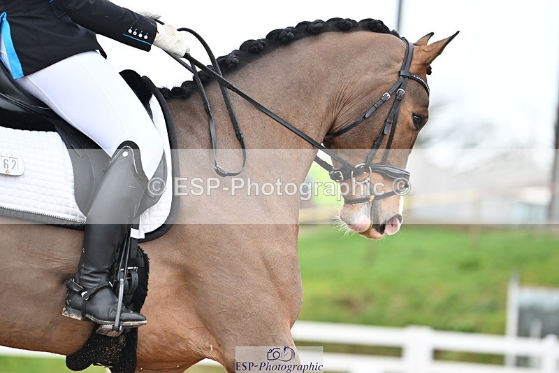 240218A-134110-07677 - 262-Amy.Hose-Enrique