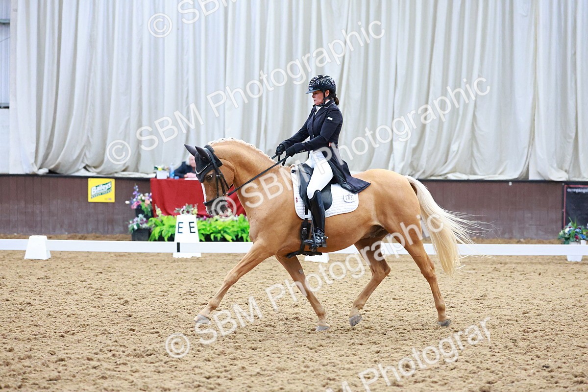SBM_021283 - Class 25 - FEI PSG Bronze