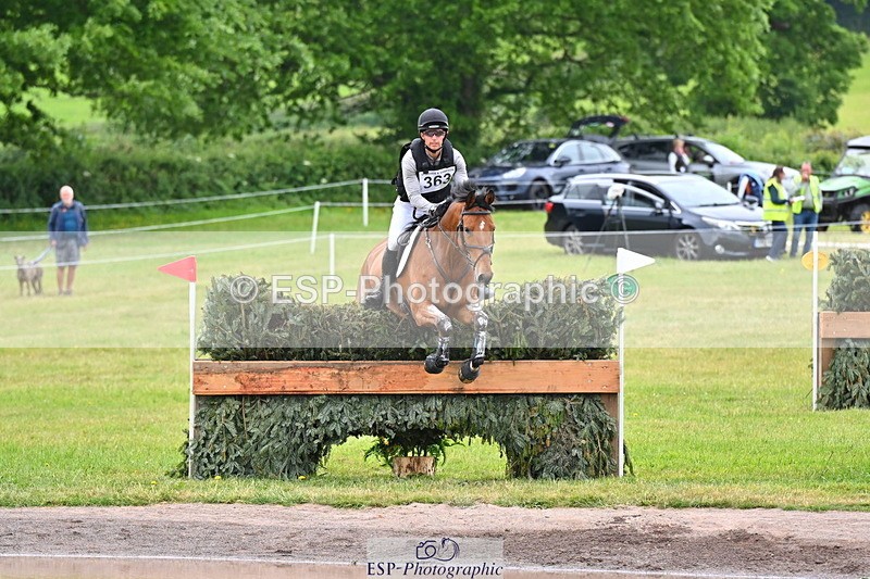 250524A-112014-09491 - B-363-Tom.D.Crisp-BLS.ABSOLUTELY