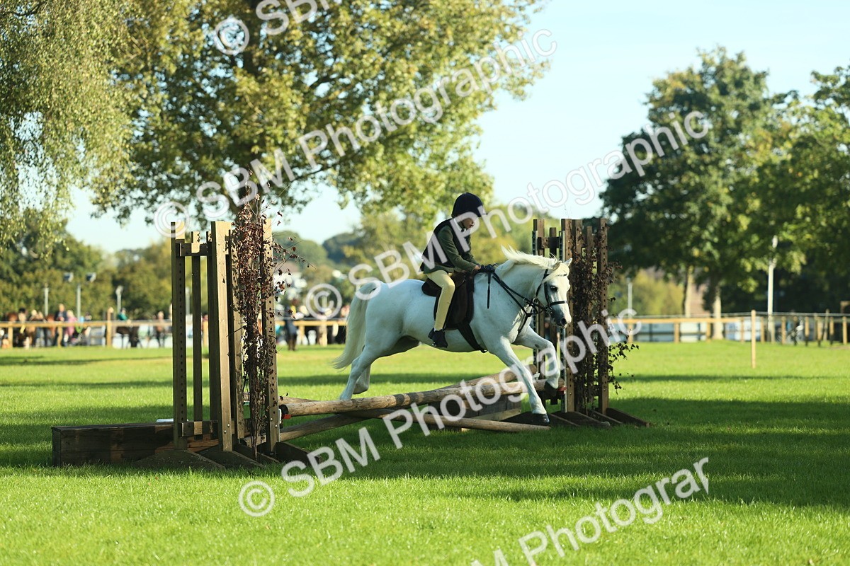 SBM_36373 - S29 - Novice & Newcomers Working Hunter Pony