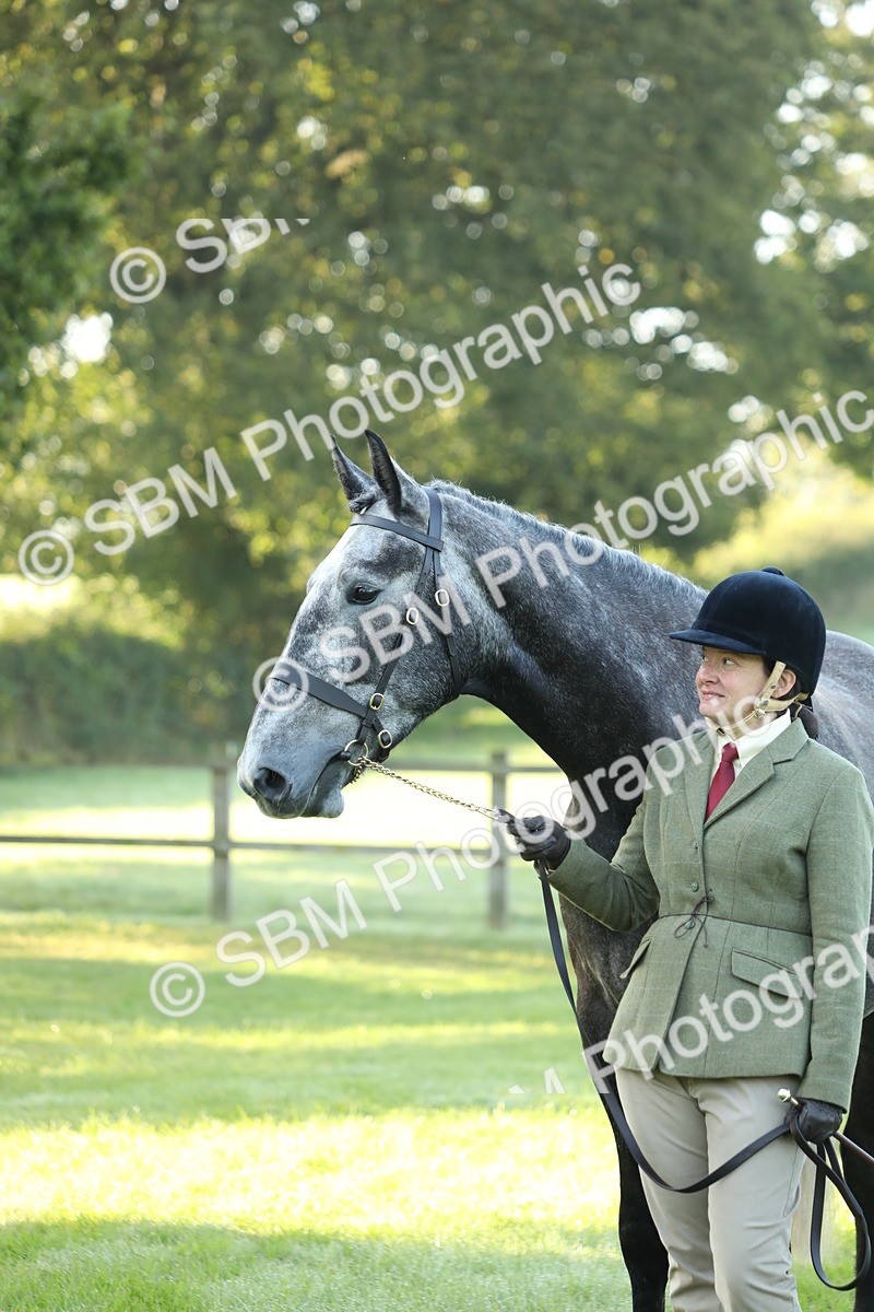 SBM_57947 - S42 - Youngstock