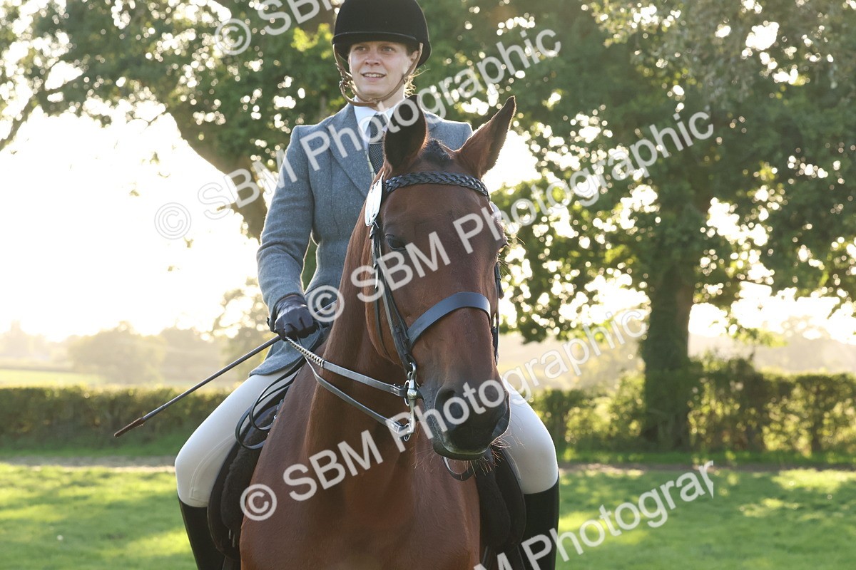 SBM_53079 - S29 - Mature Veteran Ridden