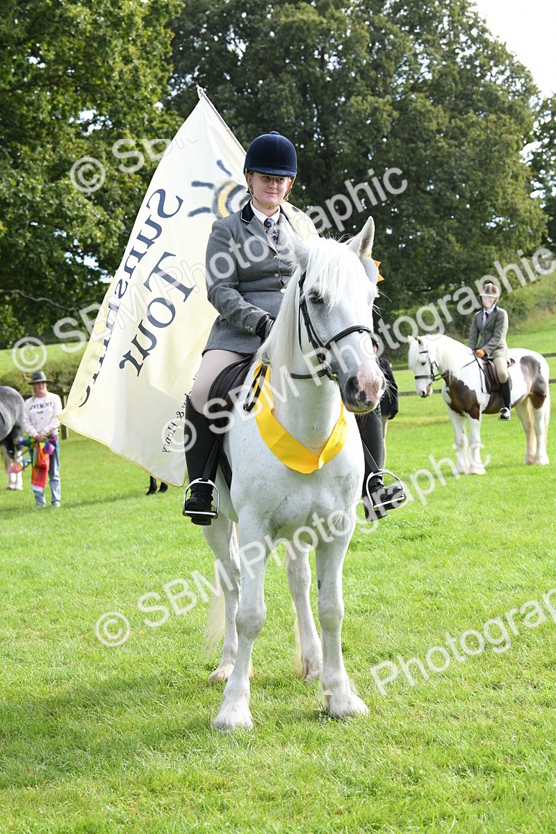 SBM_47241 - S12 - Family Horse & Pony
