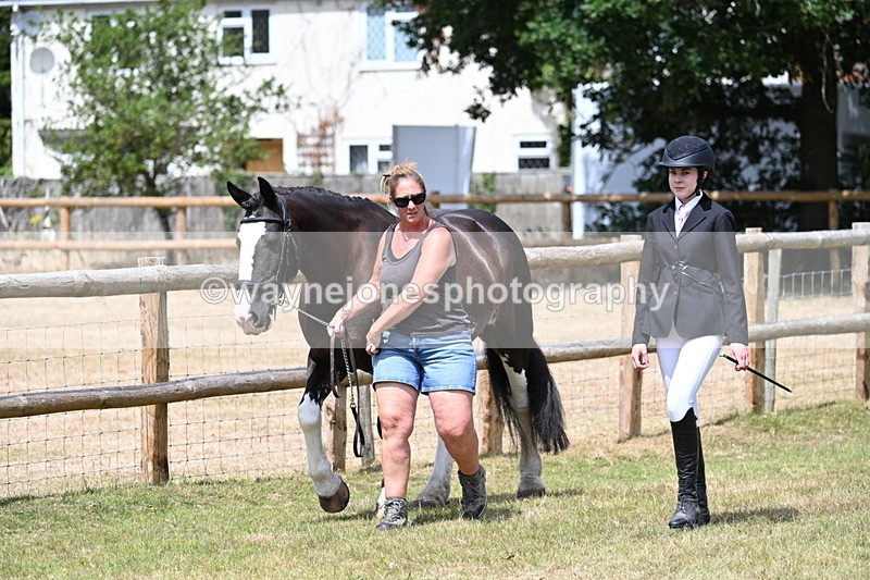 WJ7_1777 - Class 4a Prettiest Mare 14.2hh and over hand