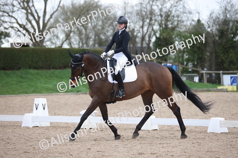 20260301-1095 - Class 11 - Advanced 1