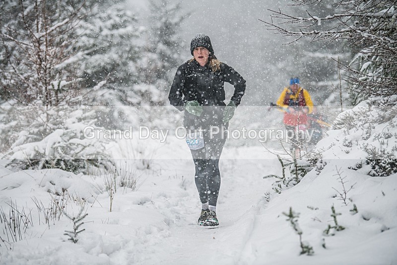 Glentress-2213 - High Terrain Events Glentress 42, 21 & 10K Trail Races Sunday 15th February 2026