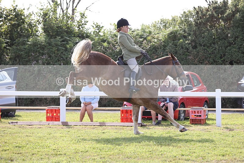 JPP_3014 - Class 20: Working Hunter 70cm