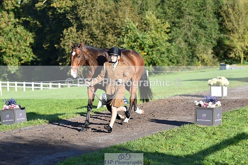 231022-094702-22027 - 450-NORDIC.FIRE-Lara.Hails-TrotUp+SJ