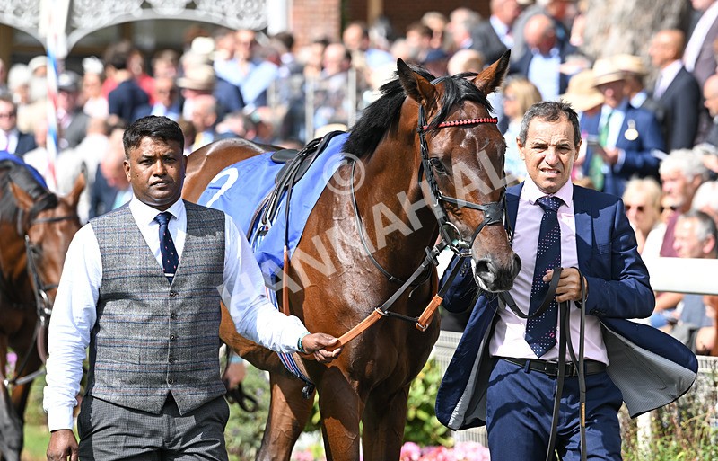 190826-072 Maltese Cross - Race 3 15.00pm Sky Bet Great Voltigeur Stakes