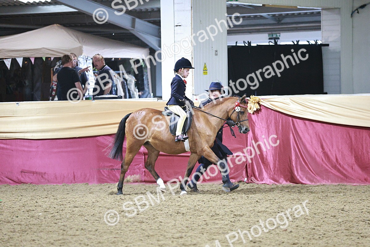 SBM_08060 - Class 11R - Regional Ridden Veteran