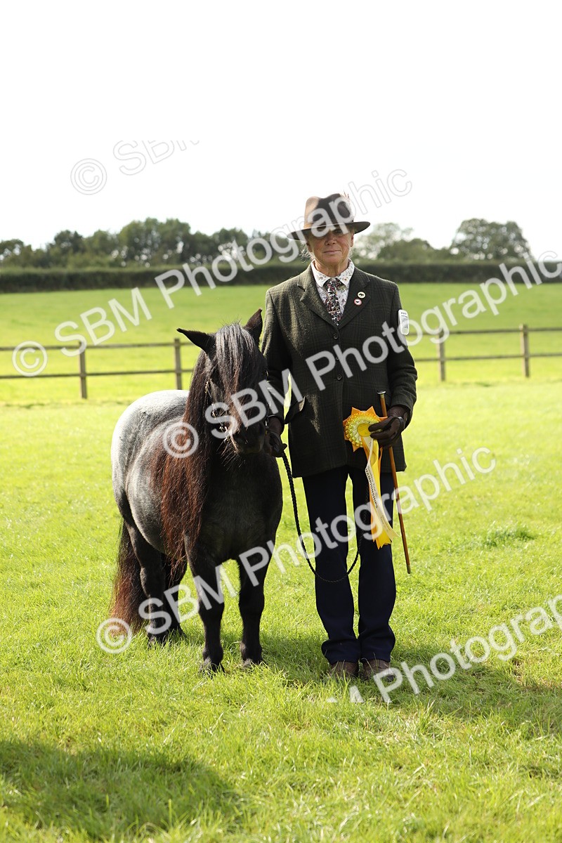 SBM_62862 - S46 - Mountain & Moorland In Hand Small Breeds