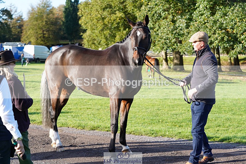 241026-100148-11552 - 005-Matthew.Heath-DIEGOS.ROSE