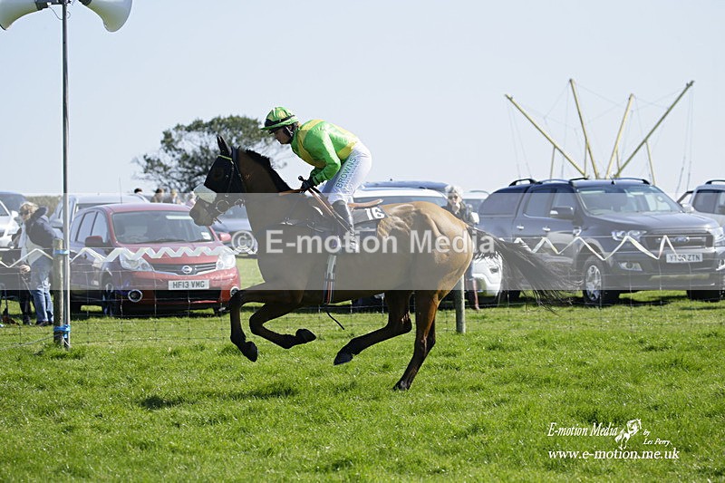 PtP 190322 156 - Wilton Hunt PtP Milborne St Andrew 19/03/22