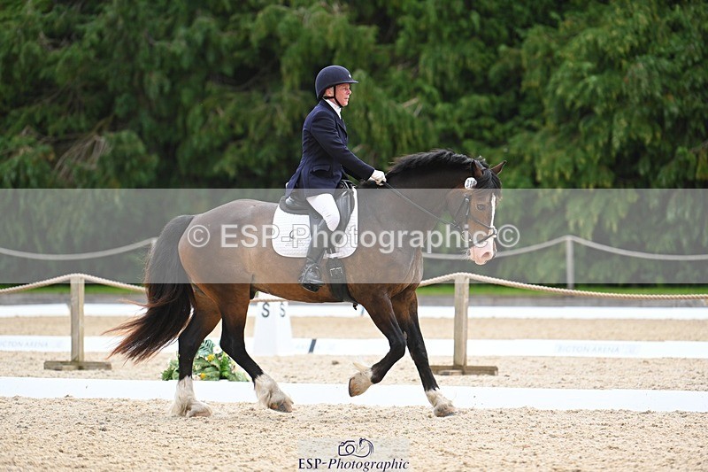 230813-140834-07684 - Cls 13 Medium Bronze 13.15 to End