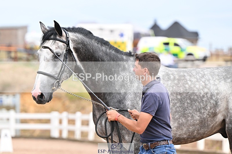 250716-153750-02064 - Trot Up 3.30 to 4.30