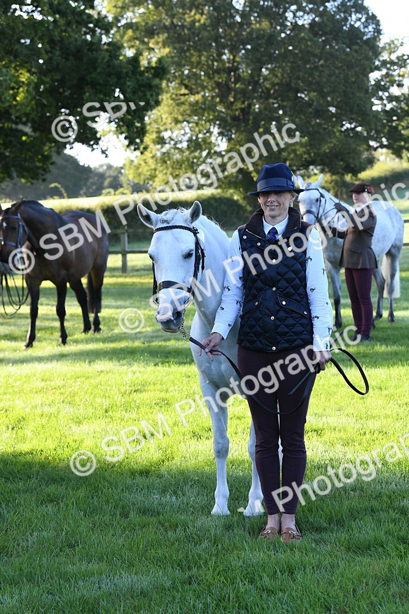 SBM_32700 - S15 - Condition & Turnout In Hand