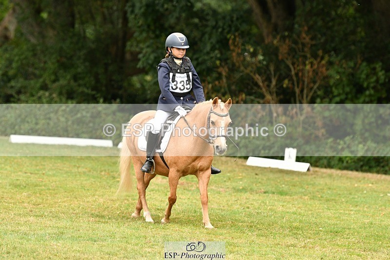 250820A-130341-05722 - 12 to 13.00