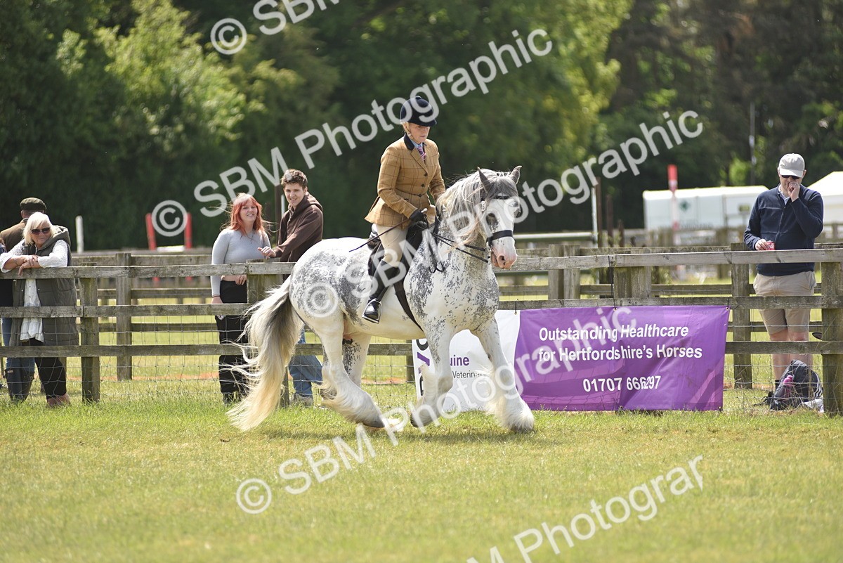 SBM_15846 - Class 115-116 - SSADL Home Produced Members Qualifier