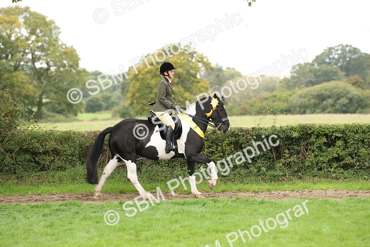 SBM_67326 - S67 - Piebald & Skewbald Horse Ridden