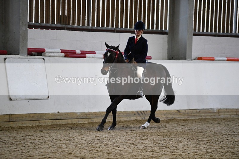 WJ5_7855 - Class 13 Ridden Part Breed