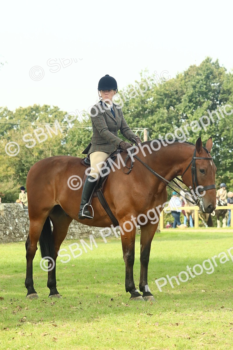 SBM_66770 - S34 - Rehabilitated Rescue Horse & Pony In Hand & Ridden