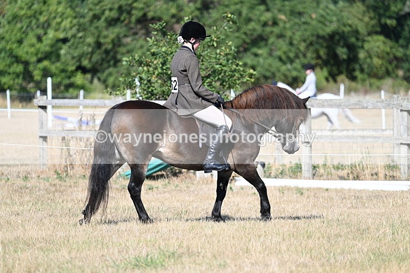 WJ7_3127 - Class 8 Ridden Tack & Turnout