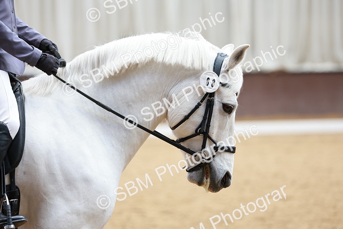 SBM_002406 - Class 6 CT Novice 3