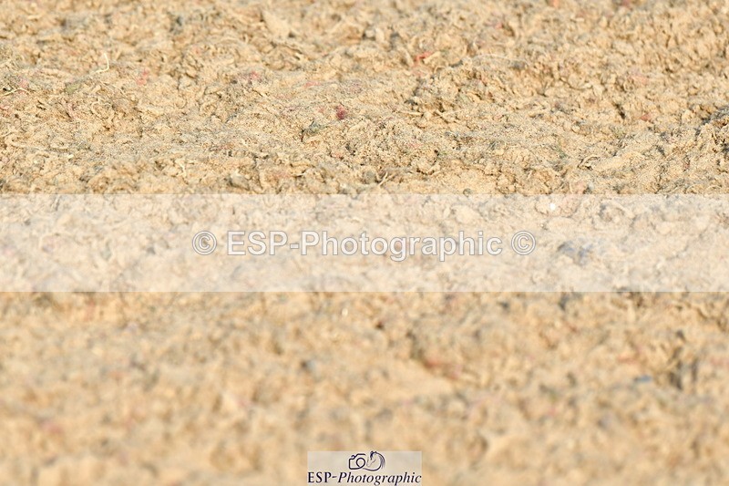 230721A-085854-04547 - Cls 26, 5 Yr Olds 1.10m