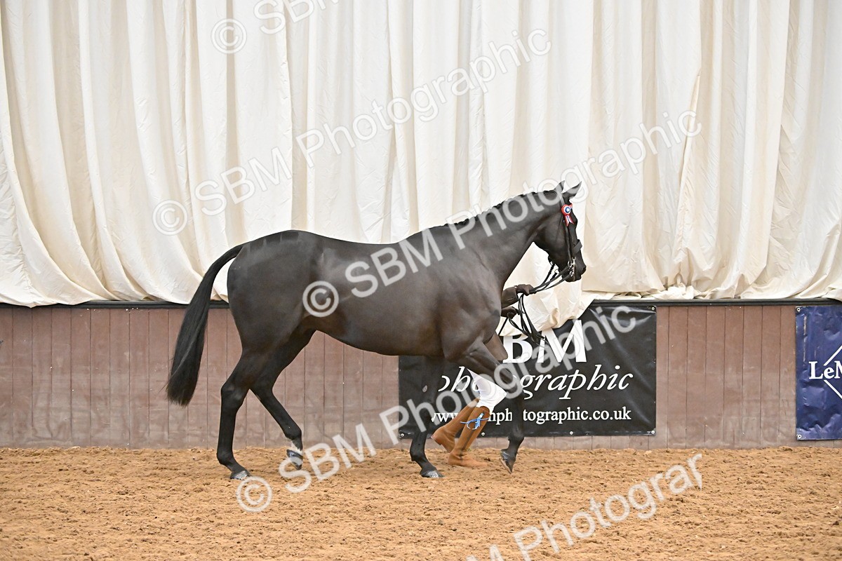 SBM_000221 - Class 7 - ROR Tattersalls In Hand