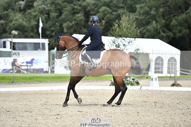 230812-135411-04540 - Cls 7 FEI PSG Bronze