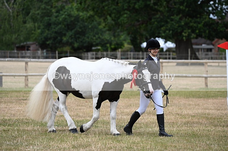 WJ6_4540 - Class 10 Coloured In-hand