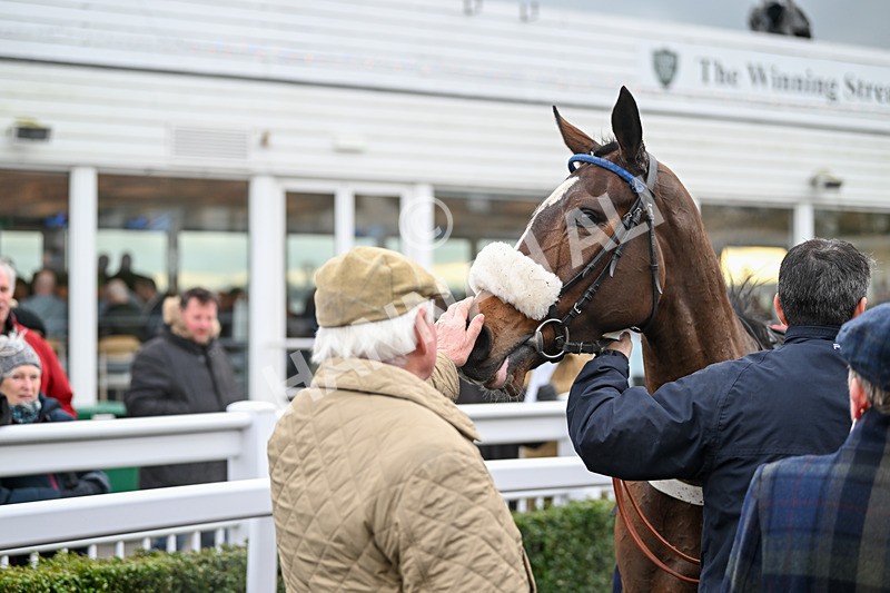 171224-Race 5-Wrappedinrubies-3511 - Race 5