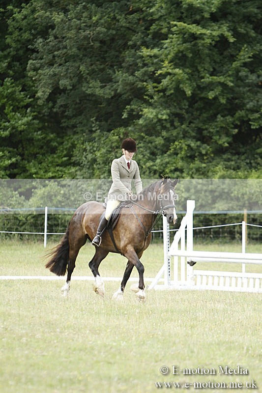 BVR160717-86 - Ring 3 BVRC Show 16/07/17