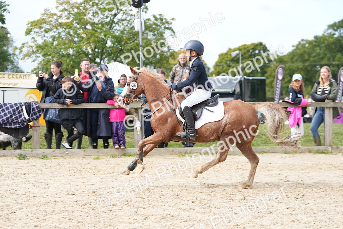 SBM_40106 - J6 - Junior Pony 55cm Championship