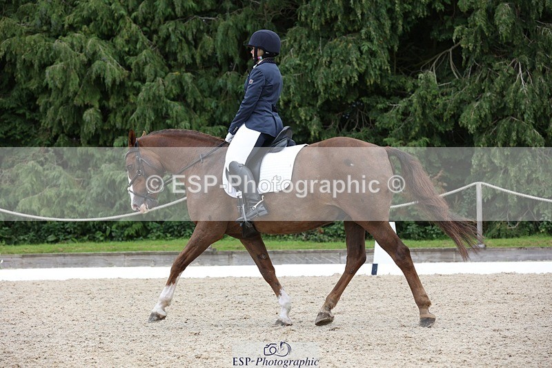 230812-135036-04326 - Cls 5 Novice Bronze 13.40 to 14.45 break